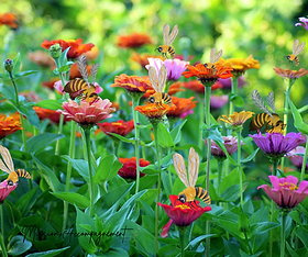 des couleurs, comme dans un rapport annuel